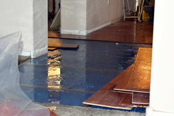 Professional Basement Flood Cleanup technician working in Lucerne Valley, CA